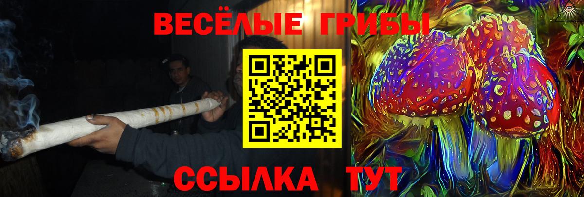 Берёзовский  Галлюциногенные грибы ЛСД  Галлюциногенные грибы Psilocybine cubensis  Вход с VPN 